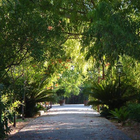 Finca Cas Sant Sóller Екстериор снимка